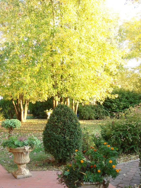 La Corte Del Cavaliere Bed & Breakfast Calderara di Reno Zewnętrze zdjęcie